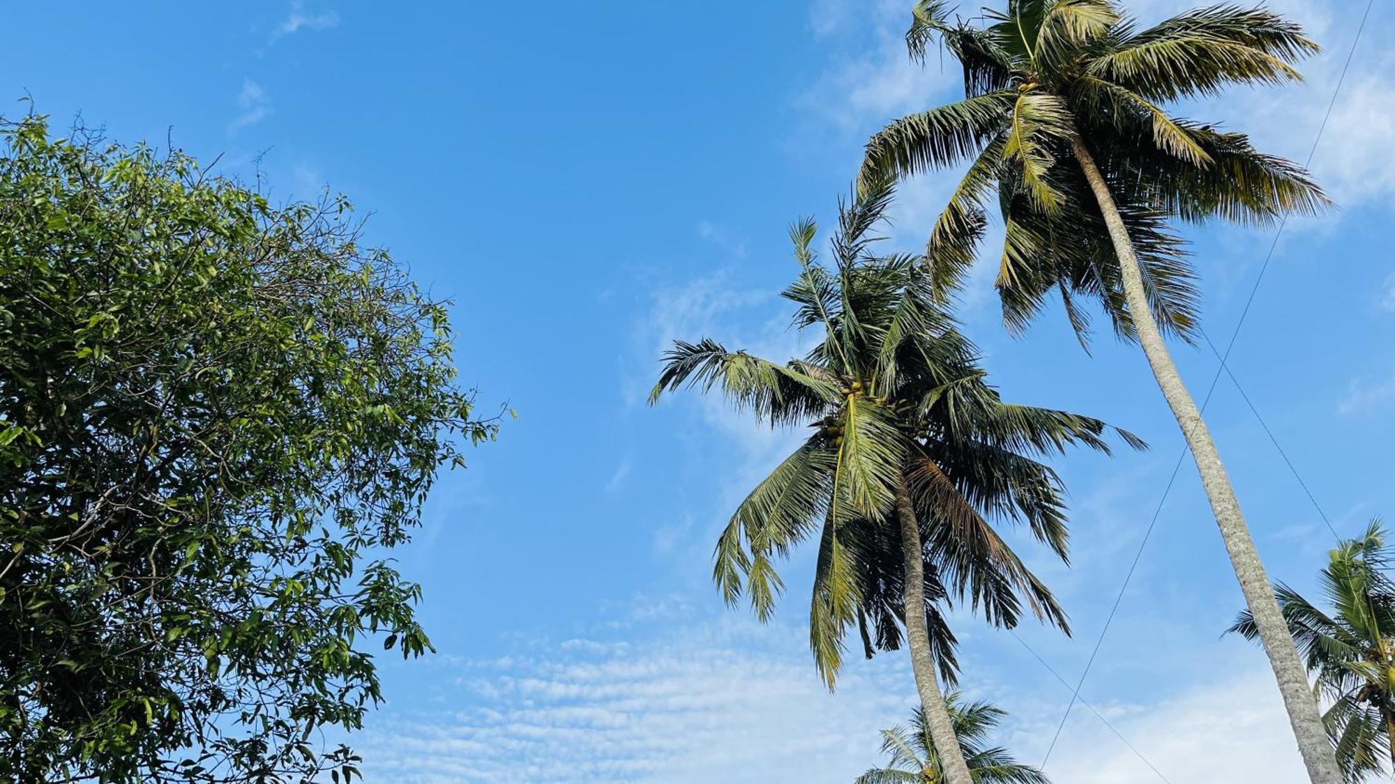Jilan Homestay Bentota Exterior foto